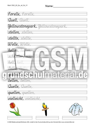 DSS_2S_Bu_ell_Nr_01.pdf